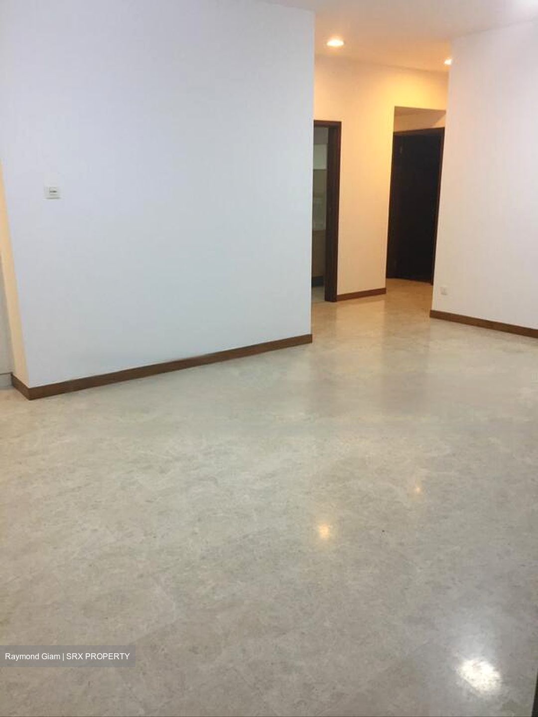 Residences @ Evelyn (D11), Condominium #441292161